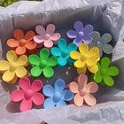 Arcobaleno Completo (12 pz)