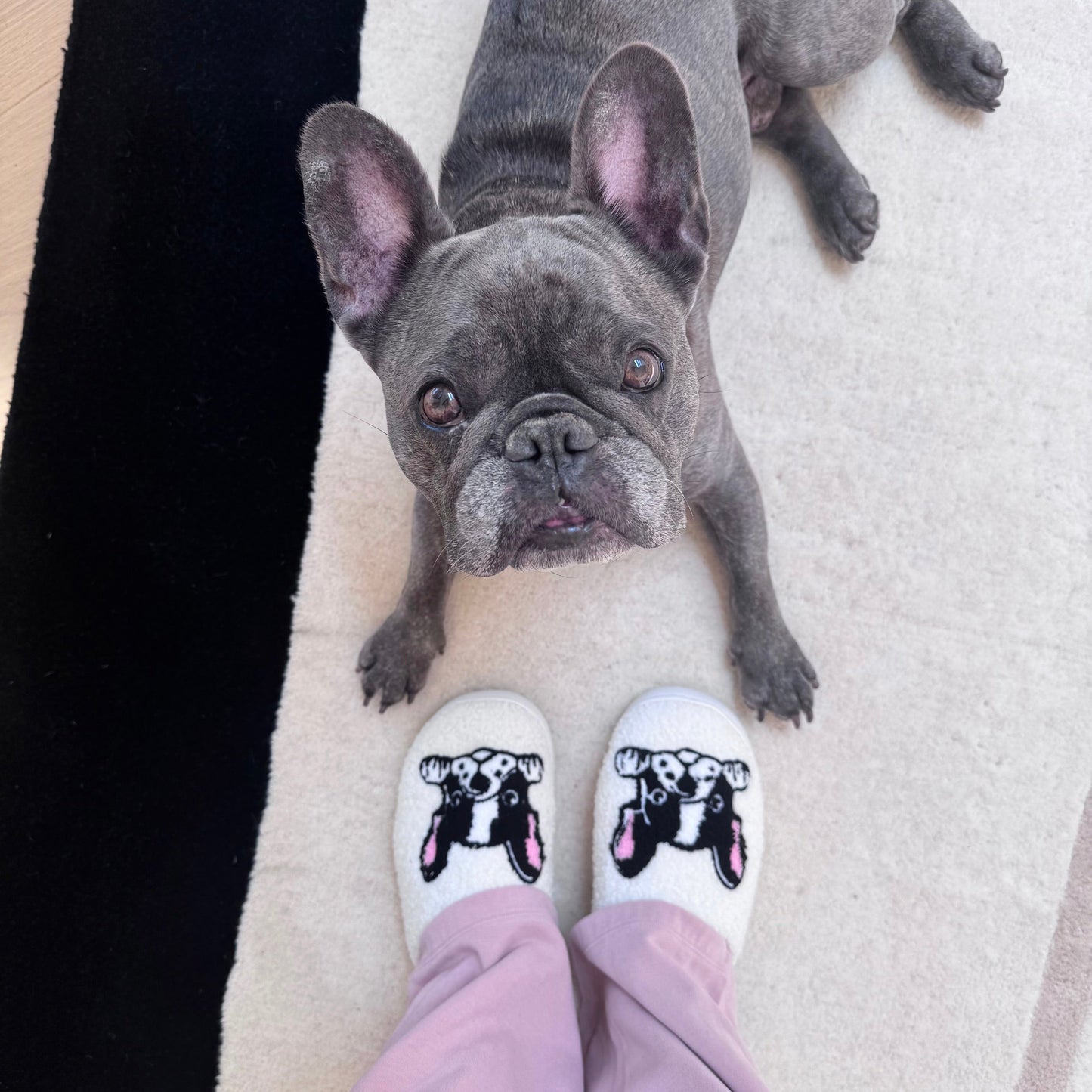 Pantofole da Donna con Stampa Boston Terrier, Morbide Pantofole da Casa-35-36-Modaso