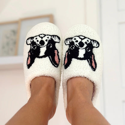 Pantofole da Donna con Stampa Boston Terrier, Morbide Pantofole da Casa-Modaso