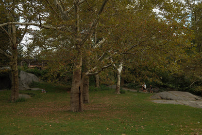 SET MAGLIA E GONNA MARRONE SCURO-Modaso