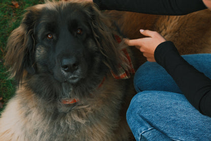 T-SHIRT A MANICA LUNGA RUDY NERA-Modaso