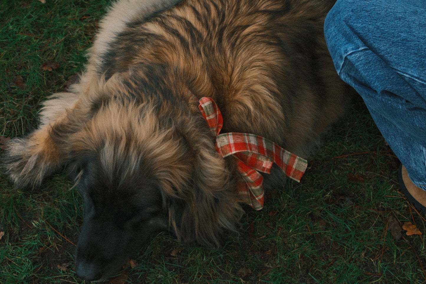 T-SHIRT A MANICA LUNGA RUDY NERA-Modaso