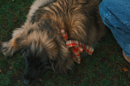 T-SHIRT A MANICA LUNGA RUDY NERA-Modaso