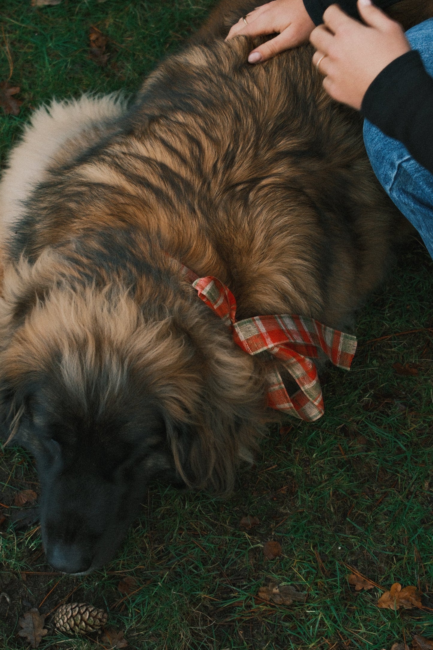 T-SHIRT A MANICA LUNGA RUDY NERA-Modaso