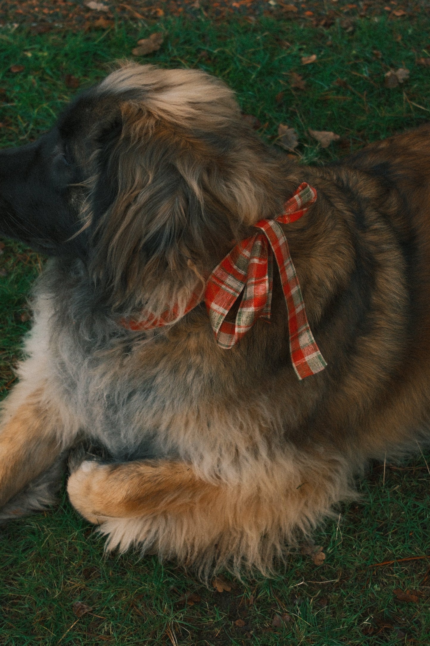 T-SHIRT A MANICA LUNGA RUDY NERA-Modaso