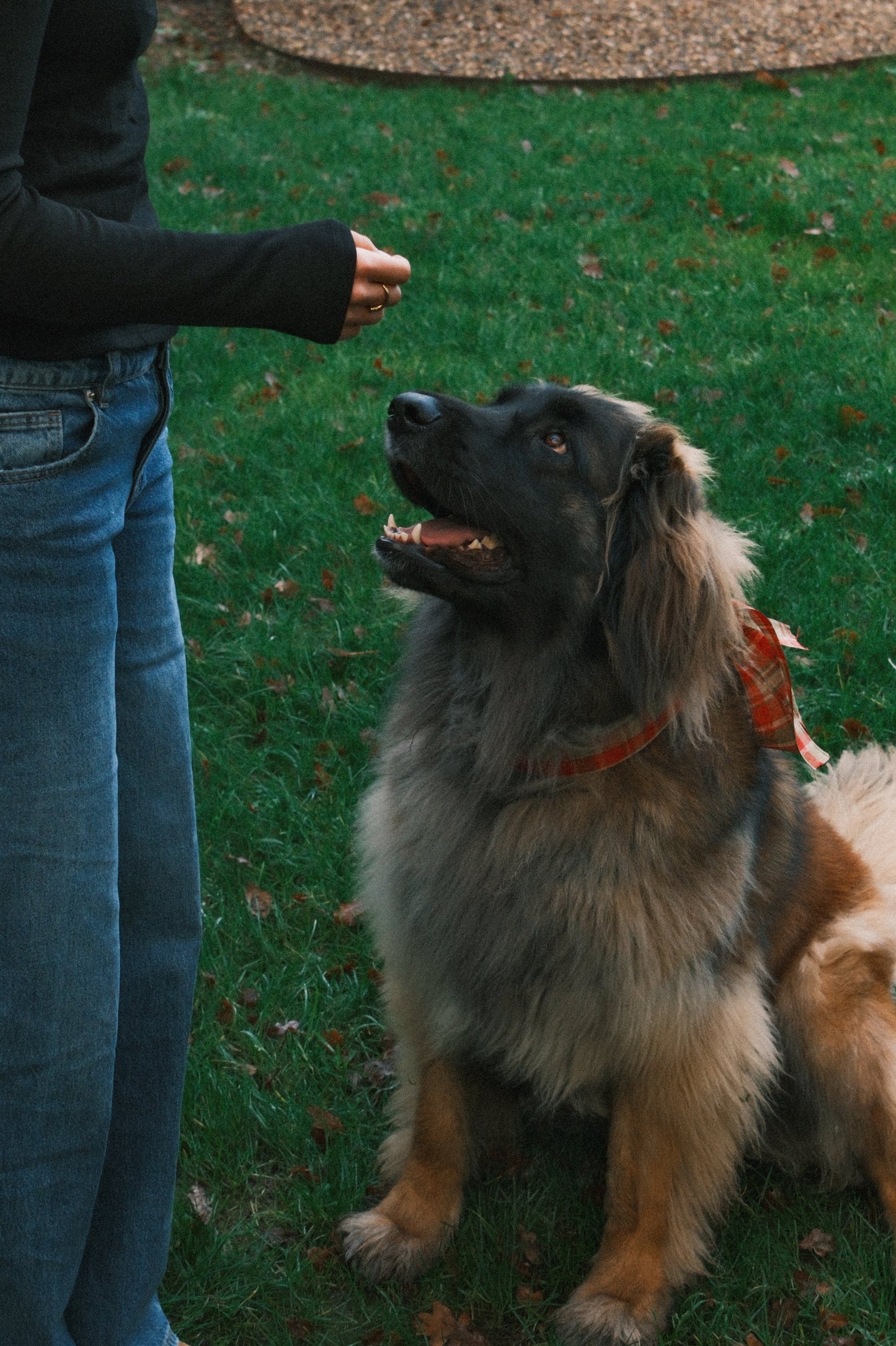 T-SHIRT A MANICA LUNGA RUDY NERA-Modaso