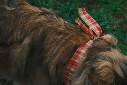 T-SHIRT A MANICA LUNGA RUDY NERA-Modaso