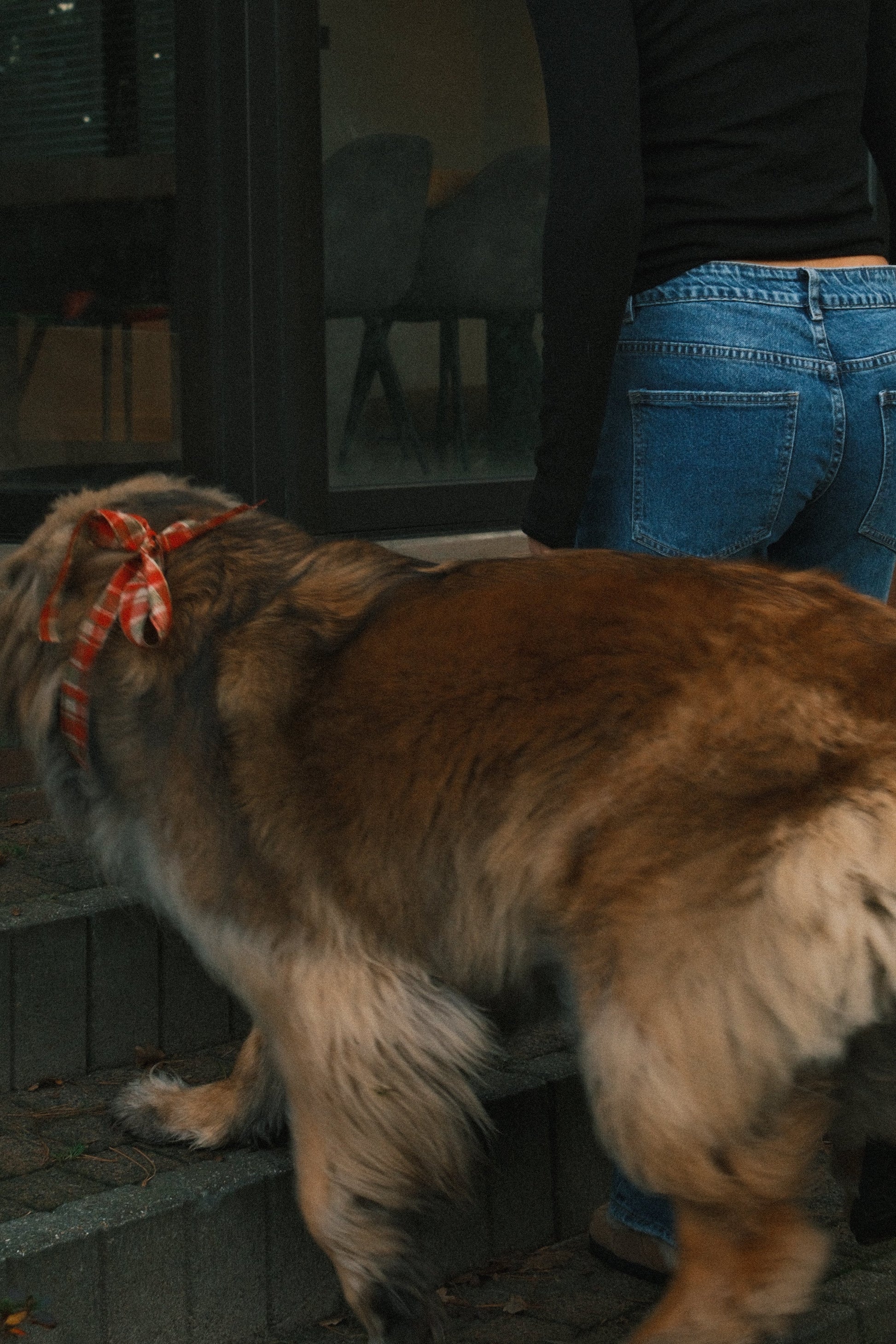 T-SHIRT A MANICA LUNGA RUDY NERA-Modaso