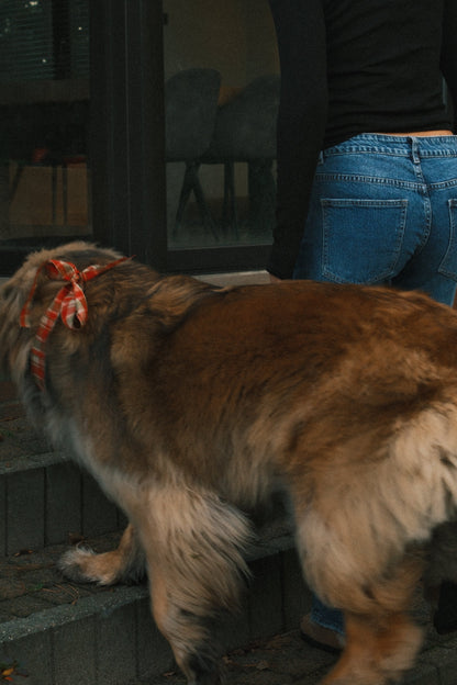 T-SHIRT A MANICA LUNGA RUDY NERA-Modaso