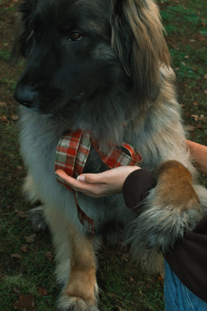 T-SHIRT A MANICA LUNGA RUDY NERA-Modaso