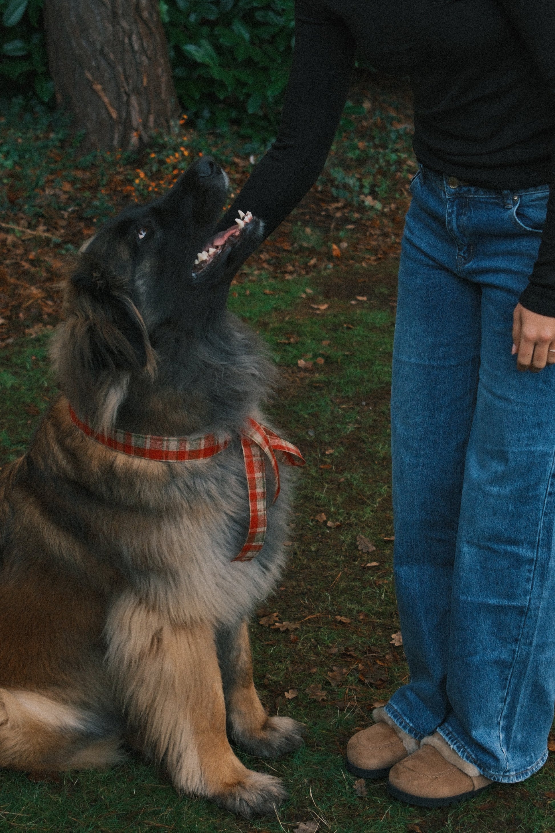 T-SHIRT A MANICA LUNGA RUDY NERA-Modaso