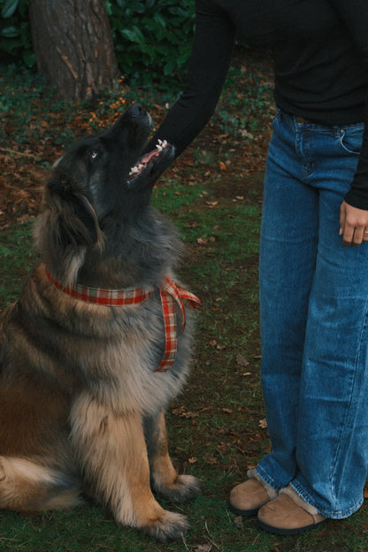 T-SHIRT A MANICA LUNGA RUDY NERA-Modaso